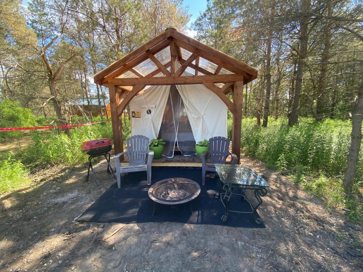 Dreamers Writing Farm, 3 Wooded Acres, Hepworth Sauble Beach Εξωτερικό φωτογραφία