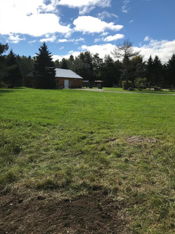 Dreamers Writing Farm, 3 Wooded Acres, Hepworth Sauble Beach Εξωτερικό φωτογραφία