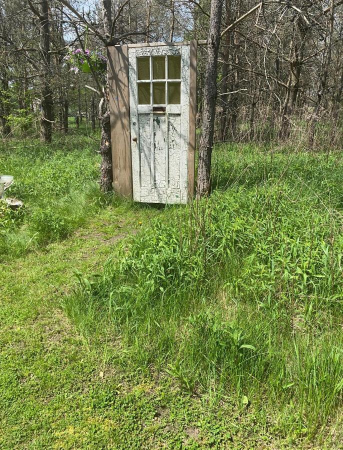 Dreamers Writing Farm, 3 Wooded Acres, Hepworth Sauble Beach Εξωτερικό φωτογραφία