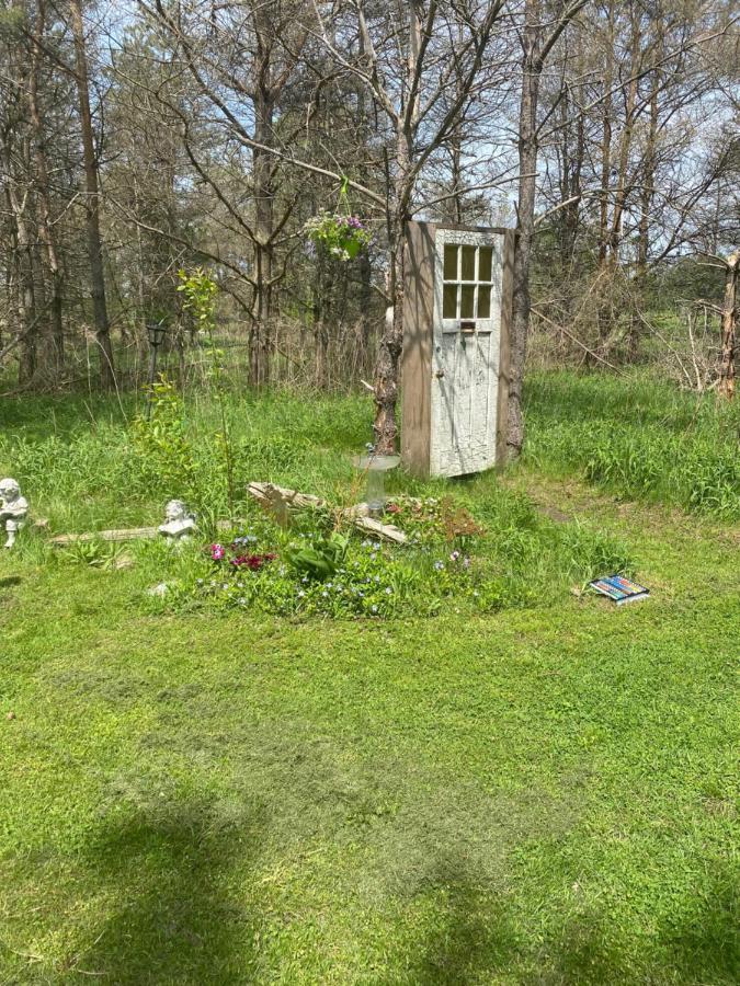Dreamers Writing Farm, 3 Wooded Acres, Hepworth Sauble Beach Εξωτερικό φωτογραφία
