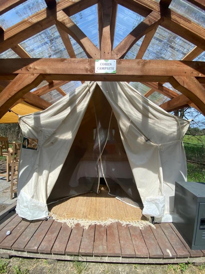 Dreamers Writing Farm, 3 Wooded Acres, Hepworth Sauble Beach Εξωτερικό φωτογραφία