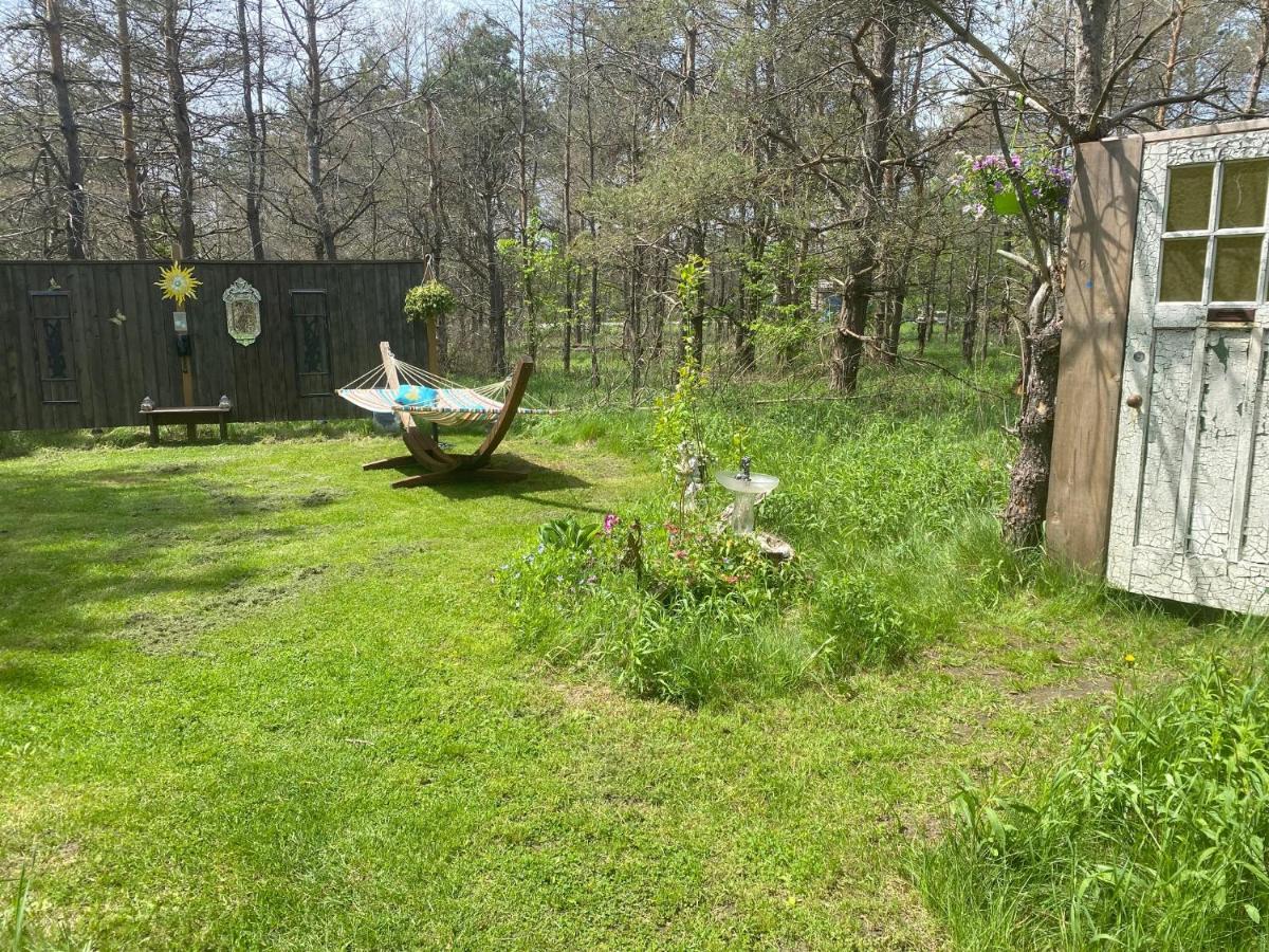 Dreamers Writing Farm, 3 Wooded Acres, Hepworth Sauble Beach Εξωτερικό φωτογραφία