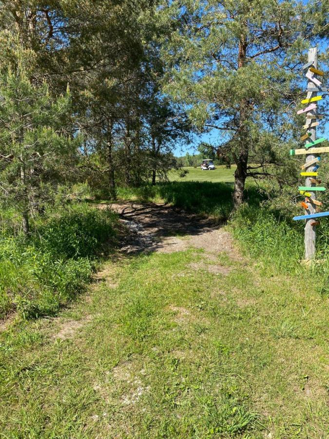 Dreamers Writing Farm, 3 Wooded Acres, Hepworth Sauble Beach Εξωτερικό φωτογραφία