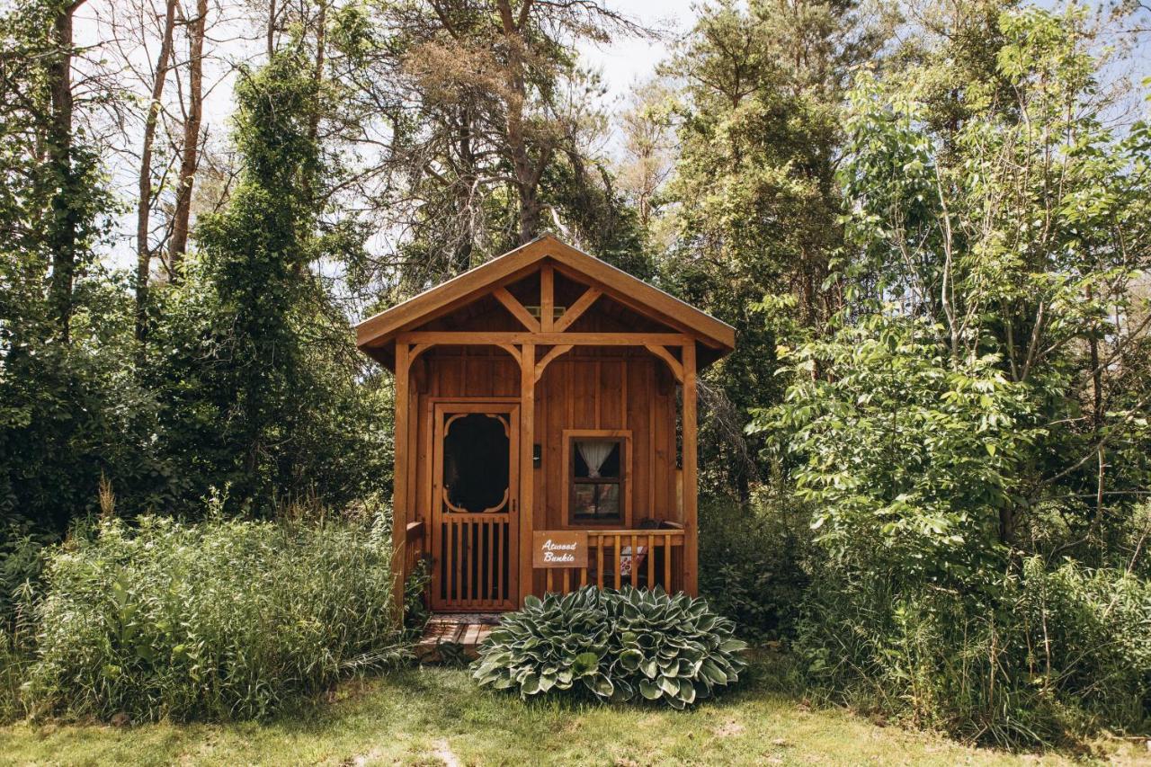 Dreamers Writing Farm, 3 Wooded Acres, Hepworth Sauble Beach Εξωτερικό φωτογραφία